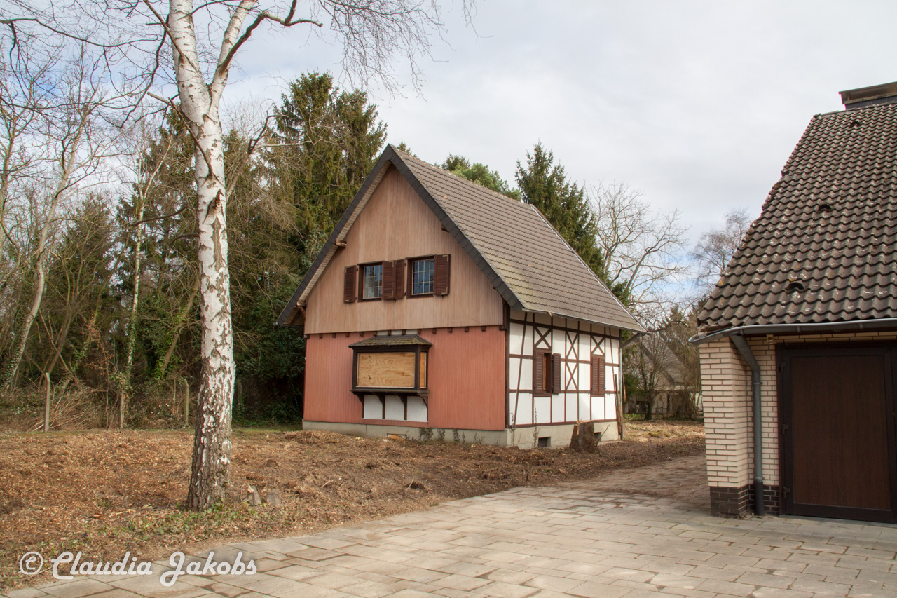 20170226135936 IMG 5046