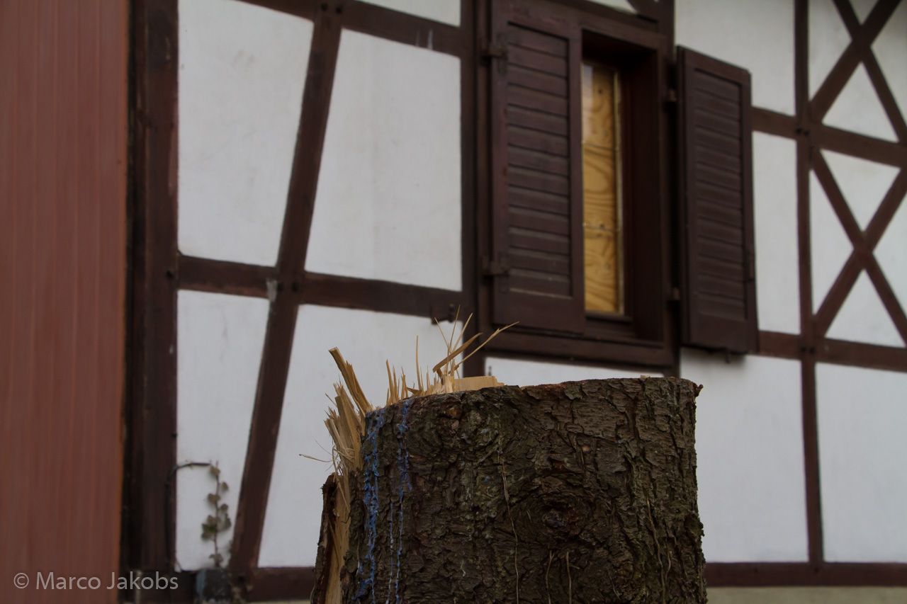 20170226140021 MJ  5207