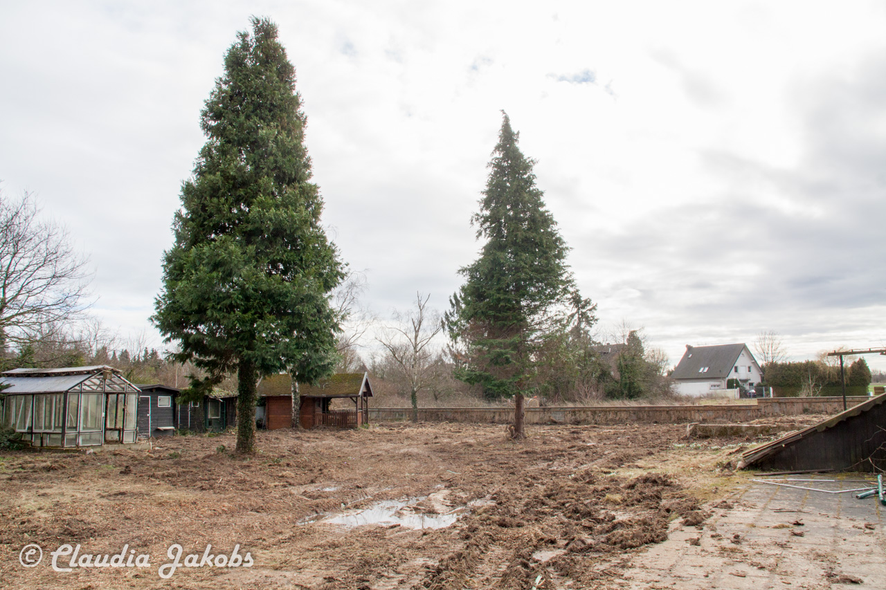 20170226140047 IMG 5051