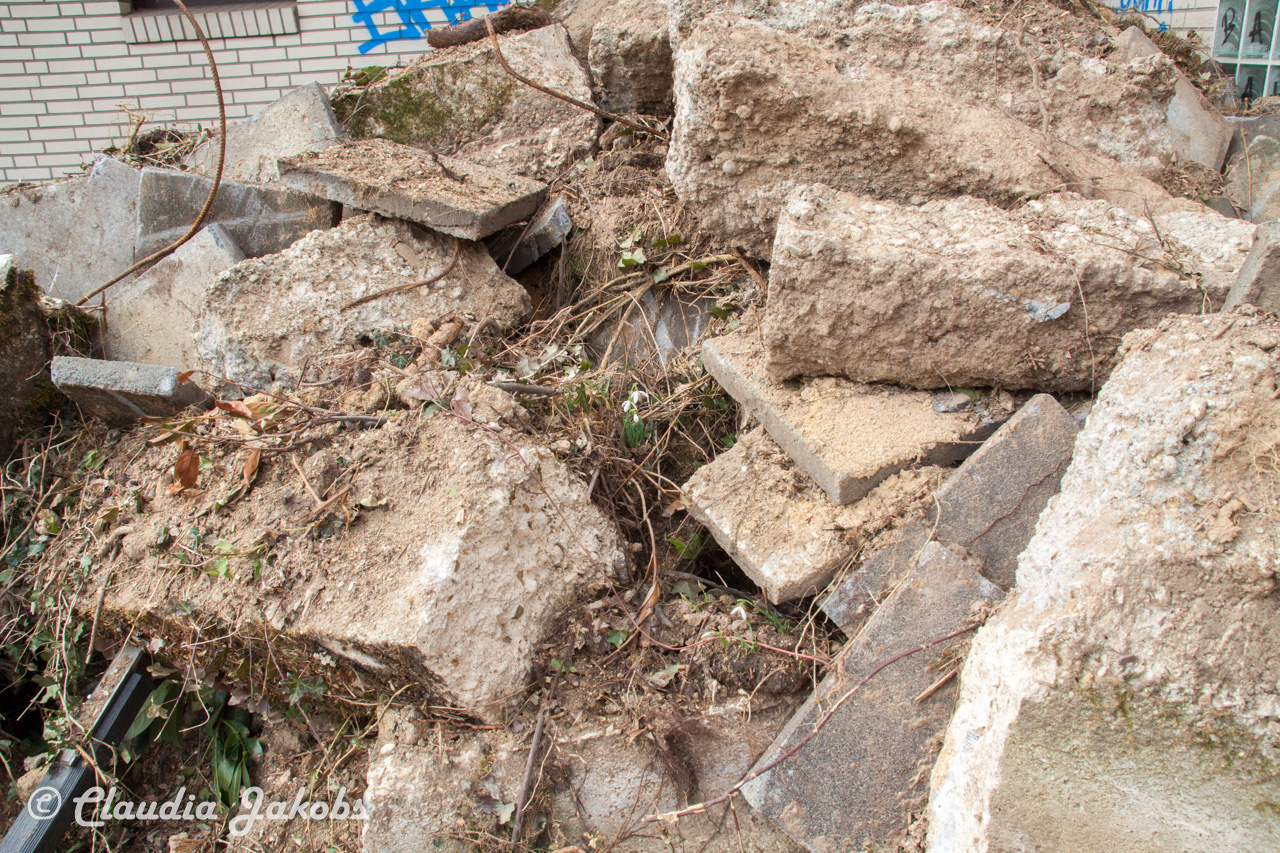 20170226140107 IMG 5052