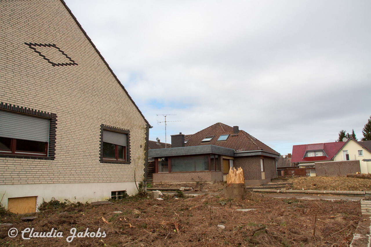 20170226140410 IMG 5061