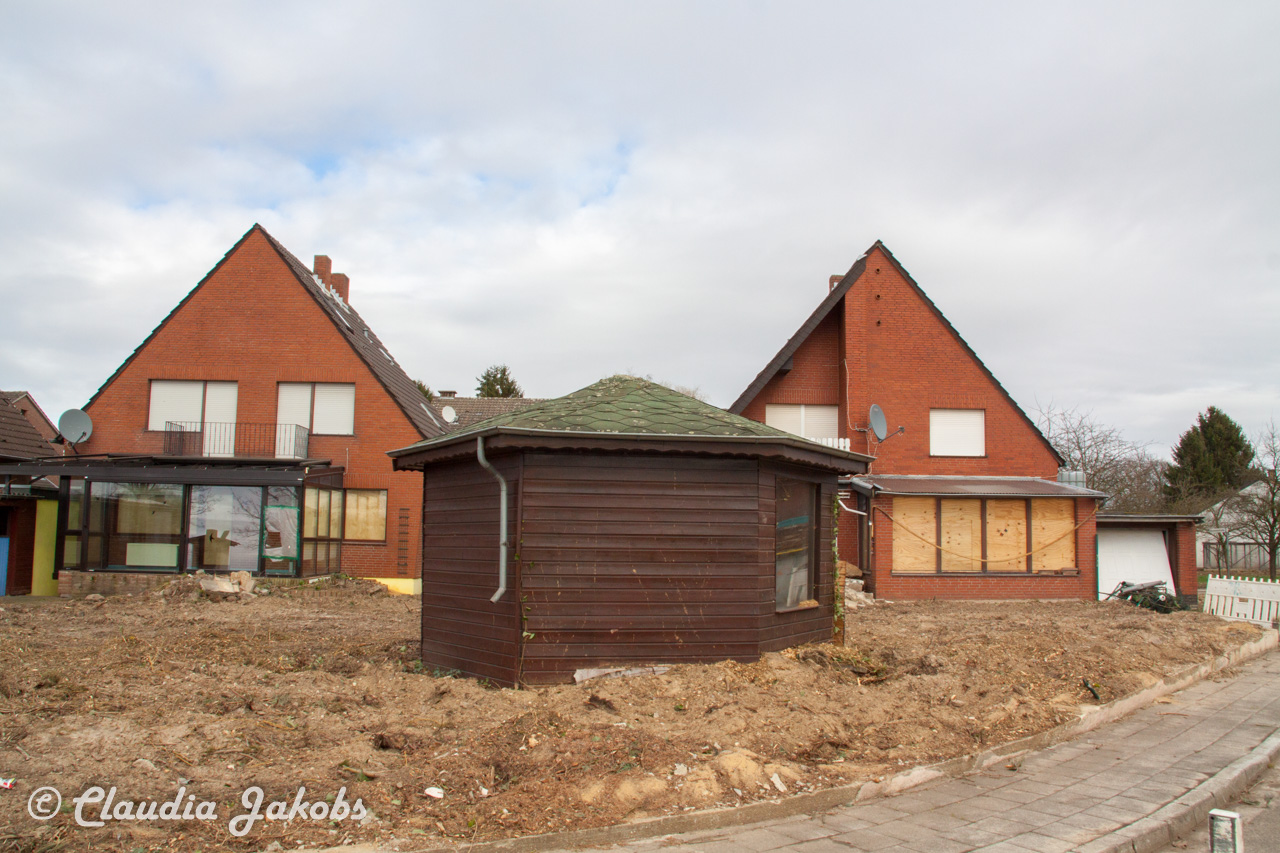 20170226140851 IMG 5063