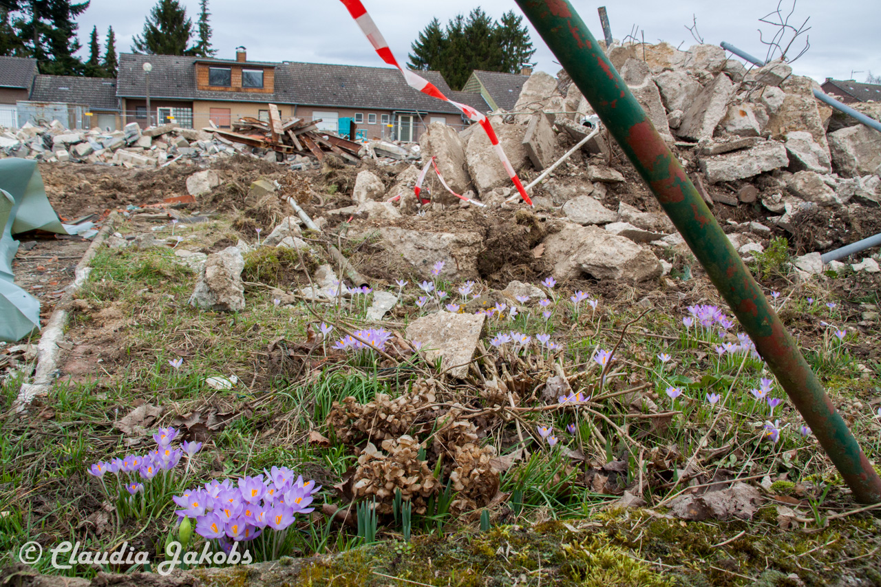 20170226141324 IMG 5082