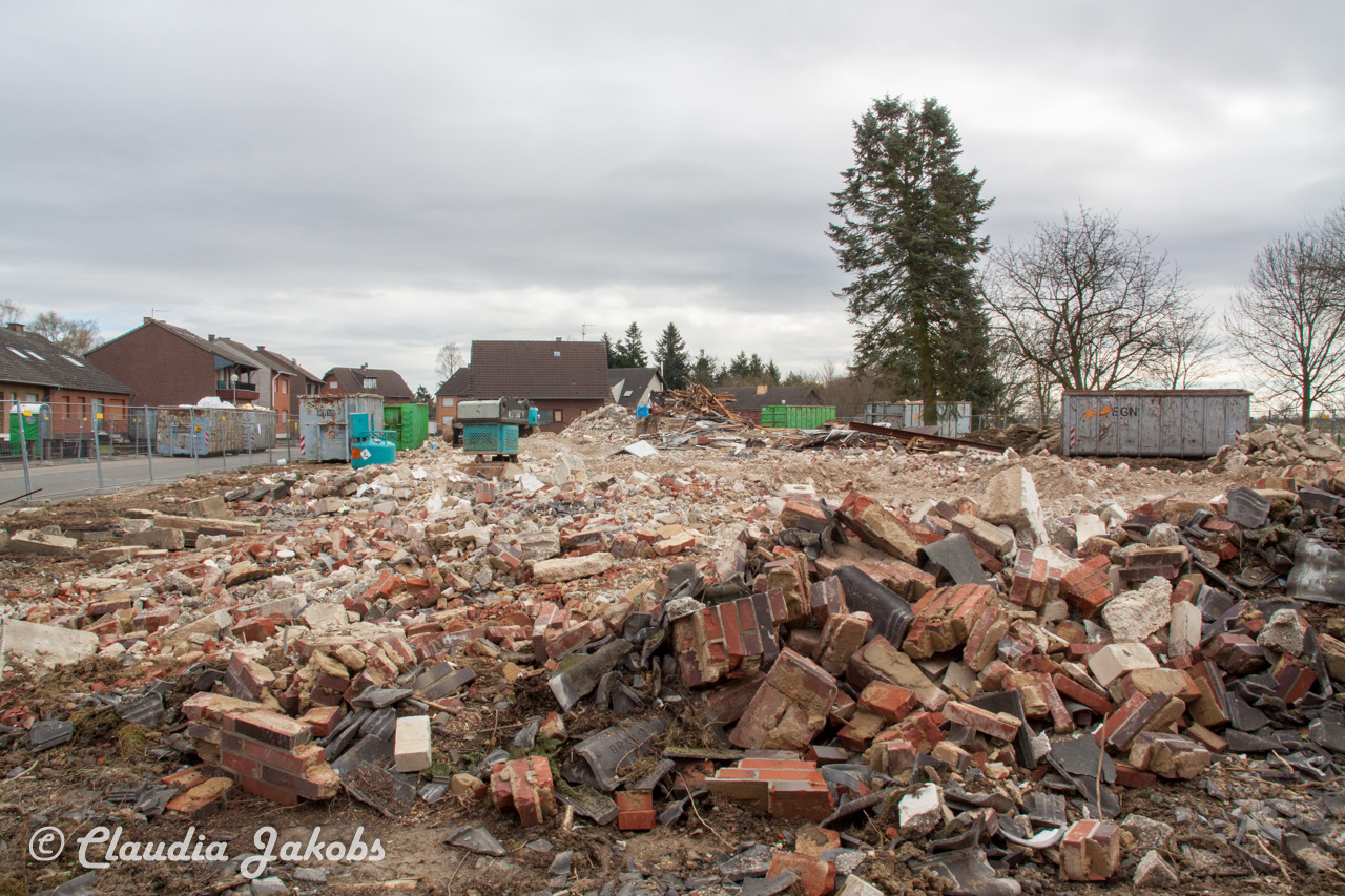 20170226141438 IMG 5084