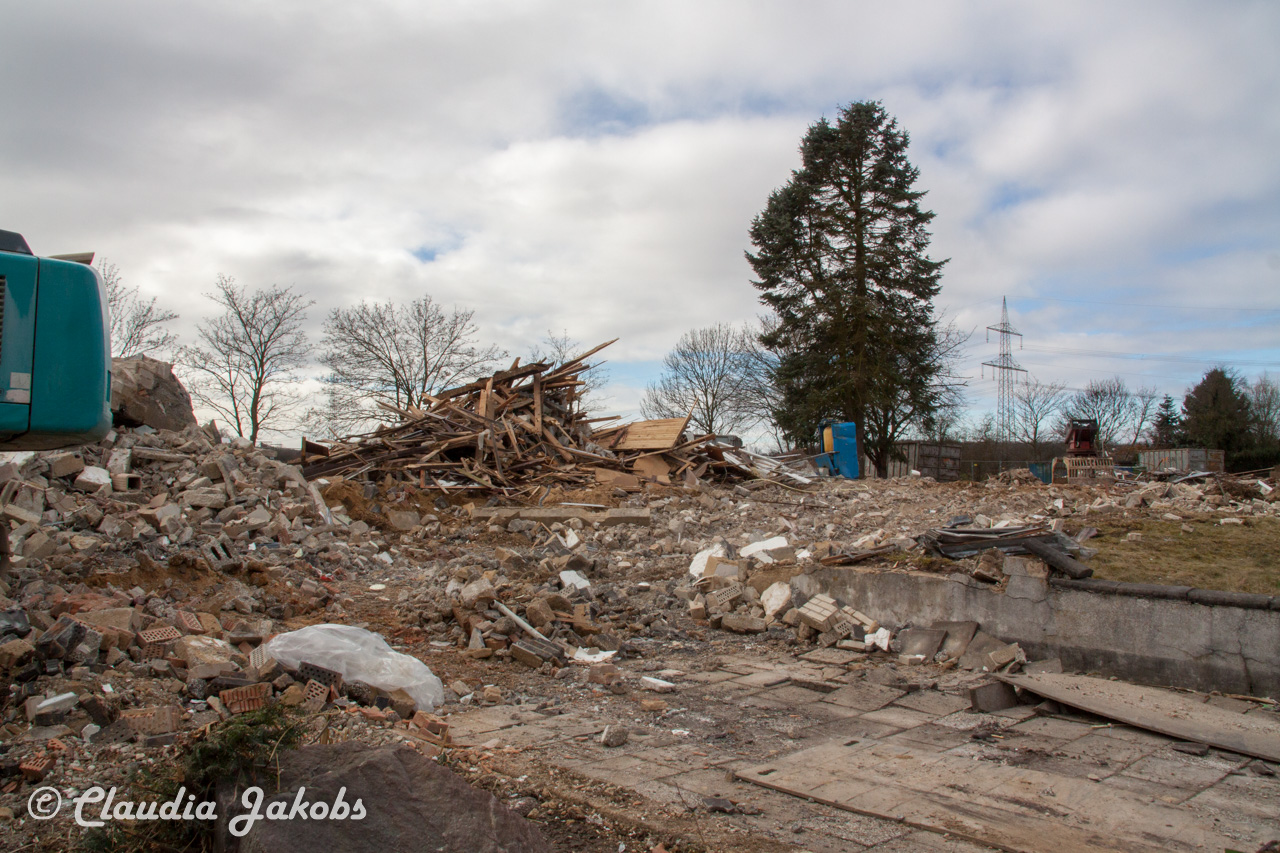 20170226142657 IMG 5092