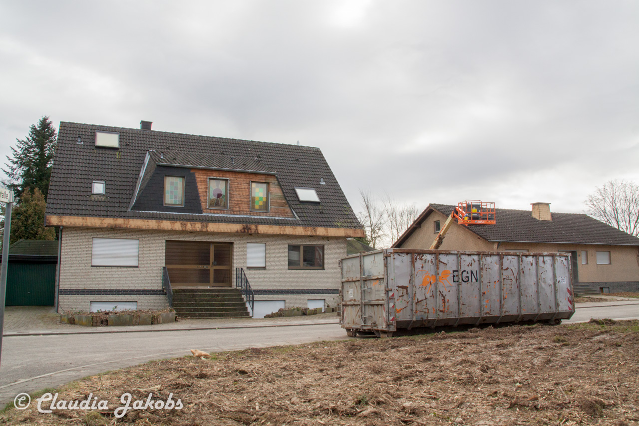 20170226142906 IMG 5096