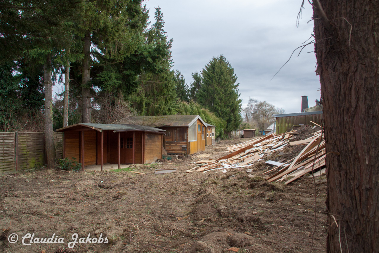 20170226143549 IMG 5100