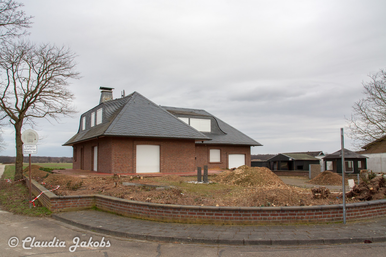 20170226144128 IMG 5101