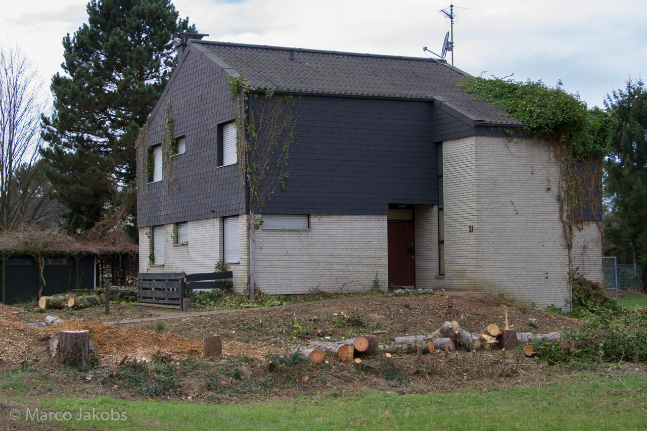 20170226144141 MJ  5246