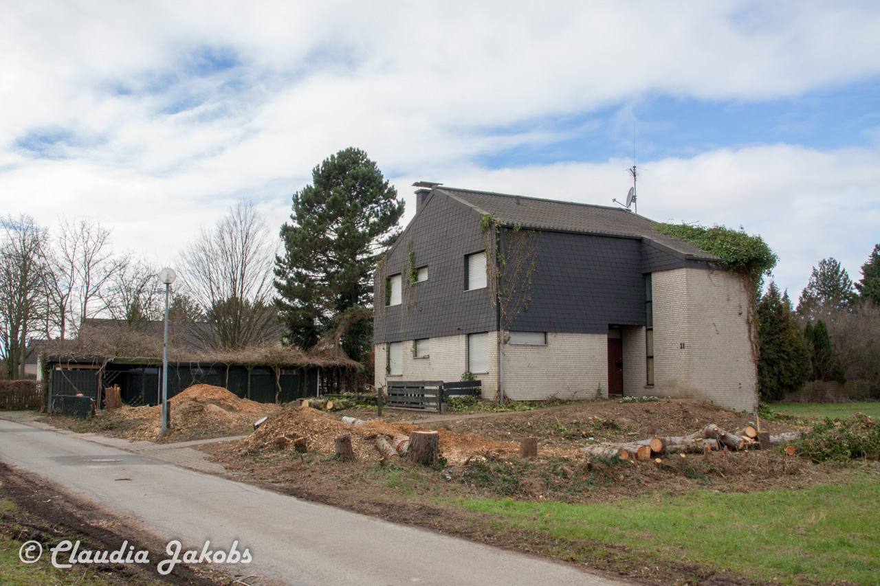 20170226144206 IMG 5104