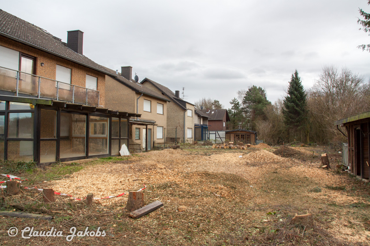 20170226144224 IMG 5105