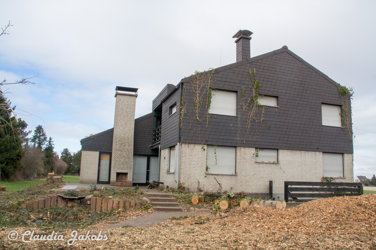 20170226144317 IMG 5108