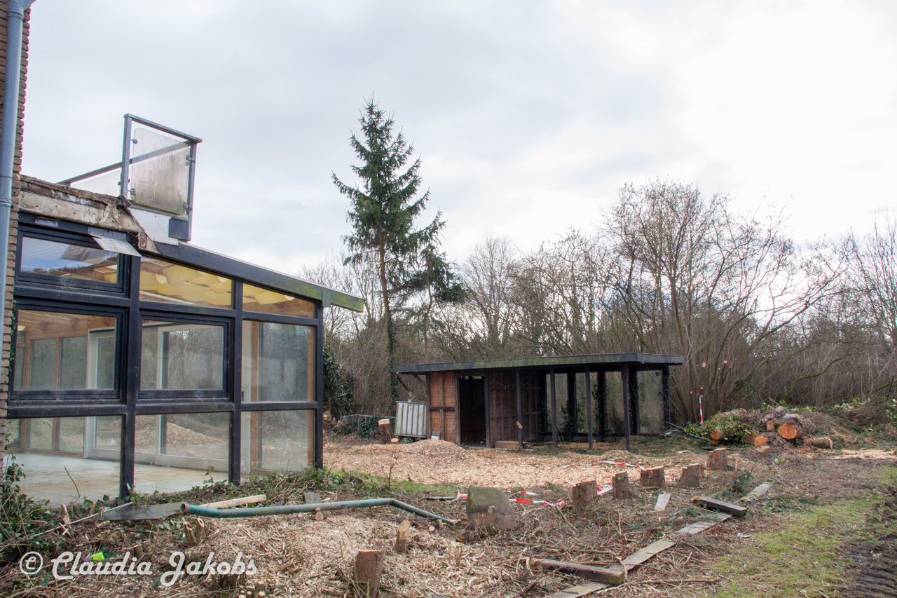 20170226144431 IMG 5111