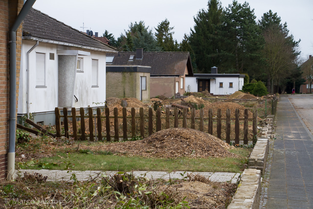 20170226144508 MJ  5255