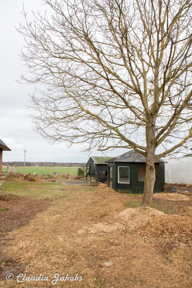 20170226144516 IMG 5113