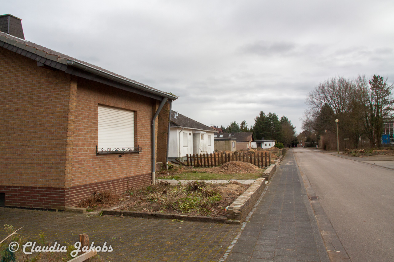 20170226144530 IMG 5114