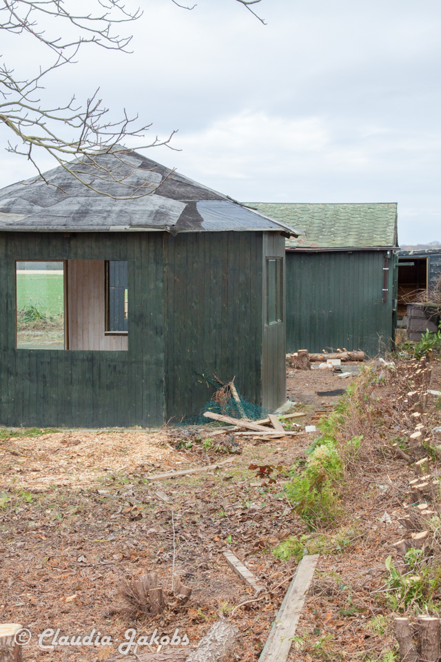 20170226144538 IMG 5115