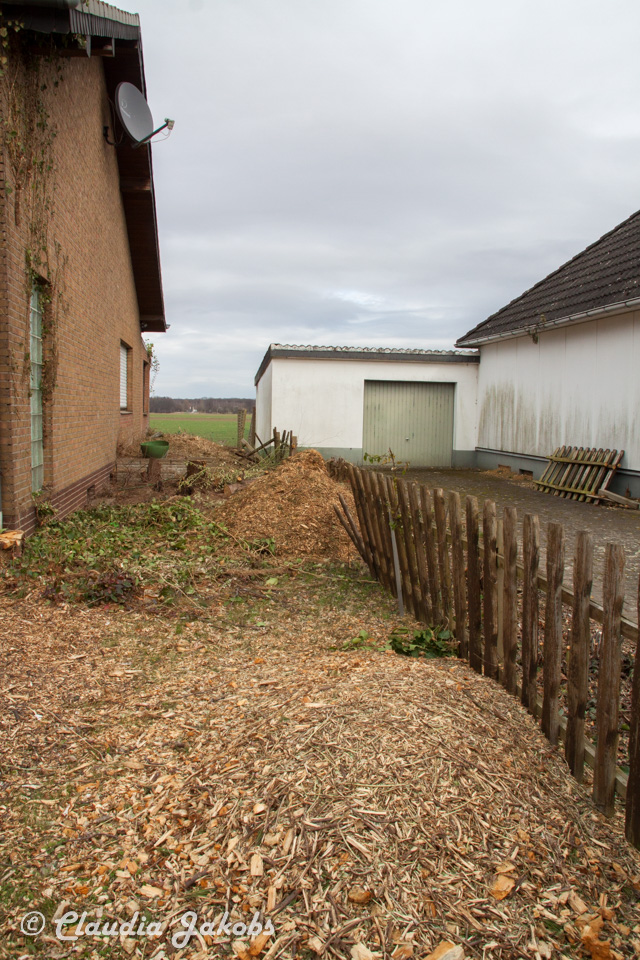 20170226144606 IMG 5117