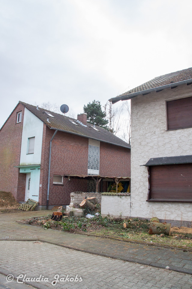 20170226144616 IMG 5118