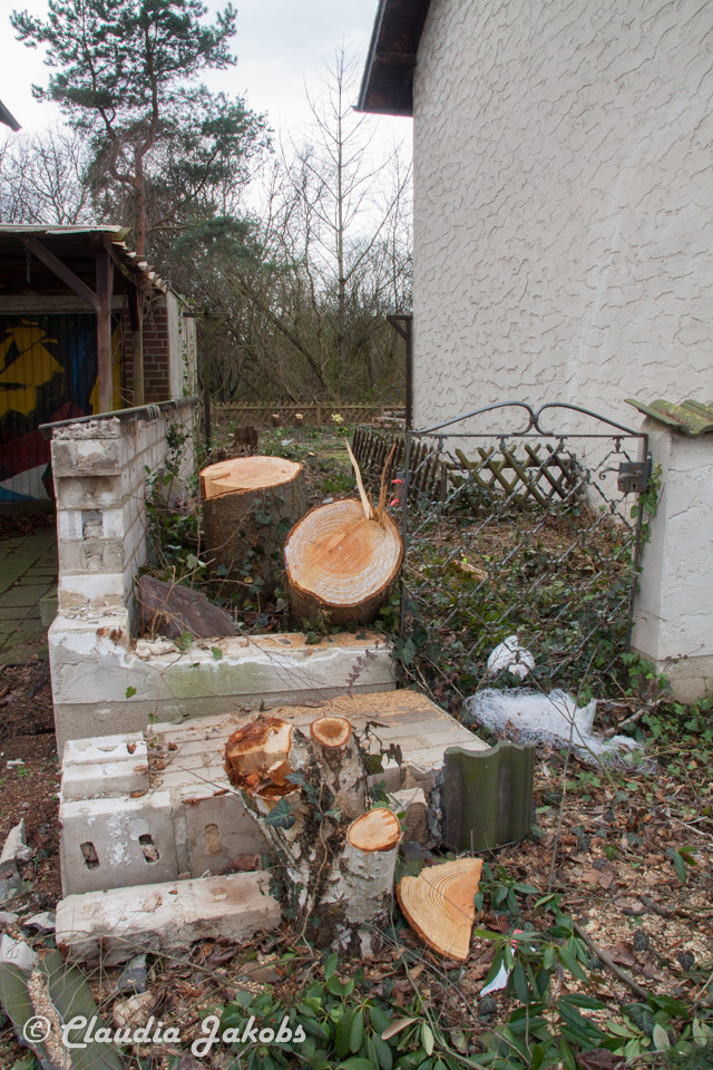 20170226144635 IMG 5120