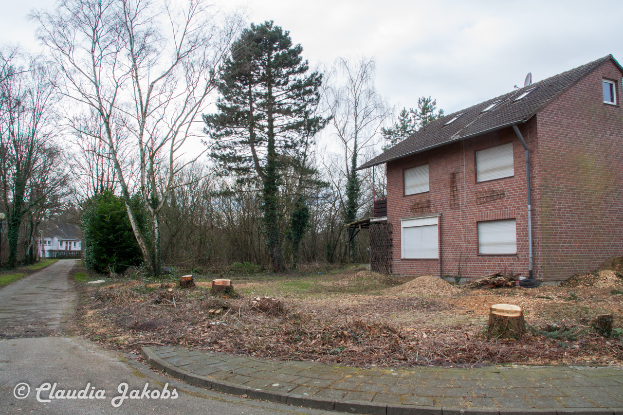 20170226144725 IMG 5123