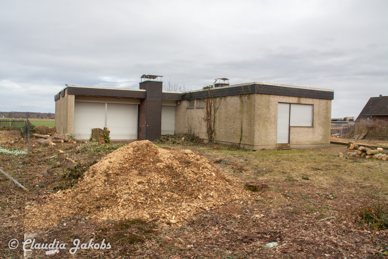 20170226144735 IMG 5124