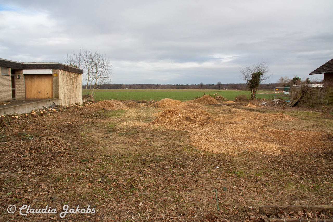 20170226144818 IMG 5126