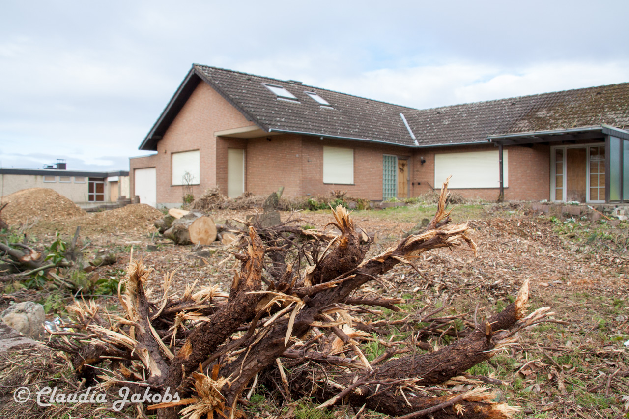 20170226144915 IMG 5129