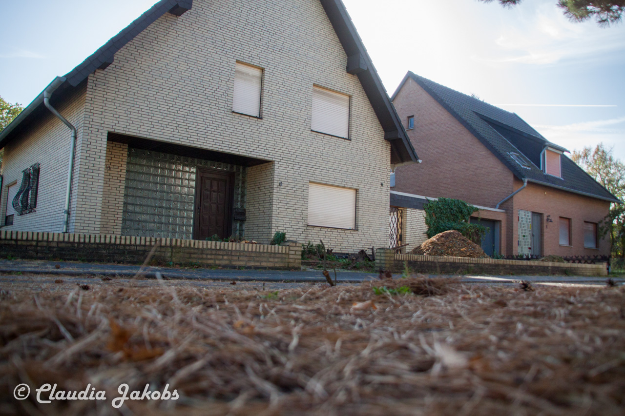 20171101130533 IMG 9475