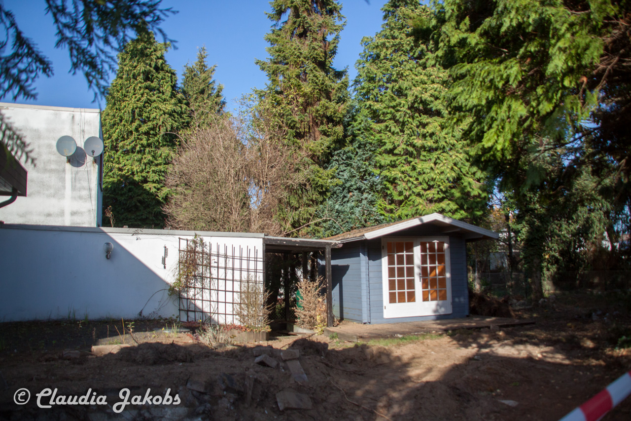 20171101130634 IMG 9478