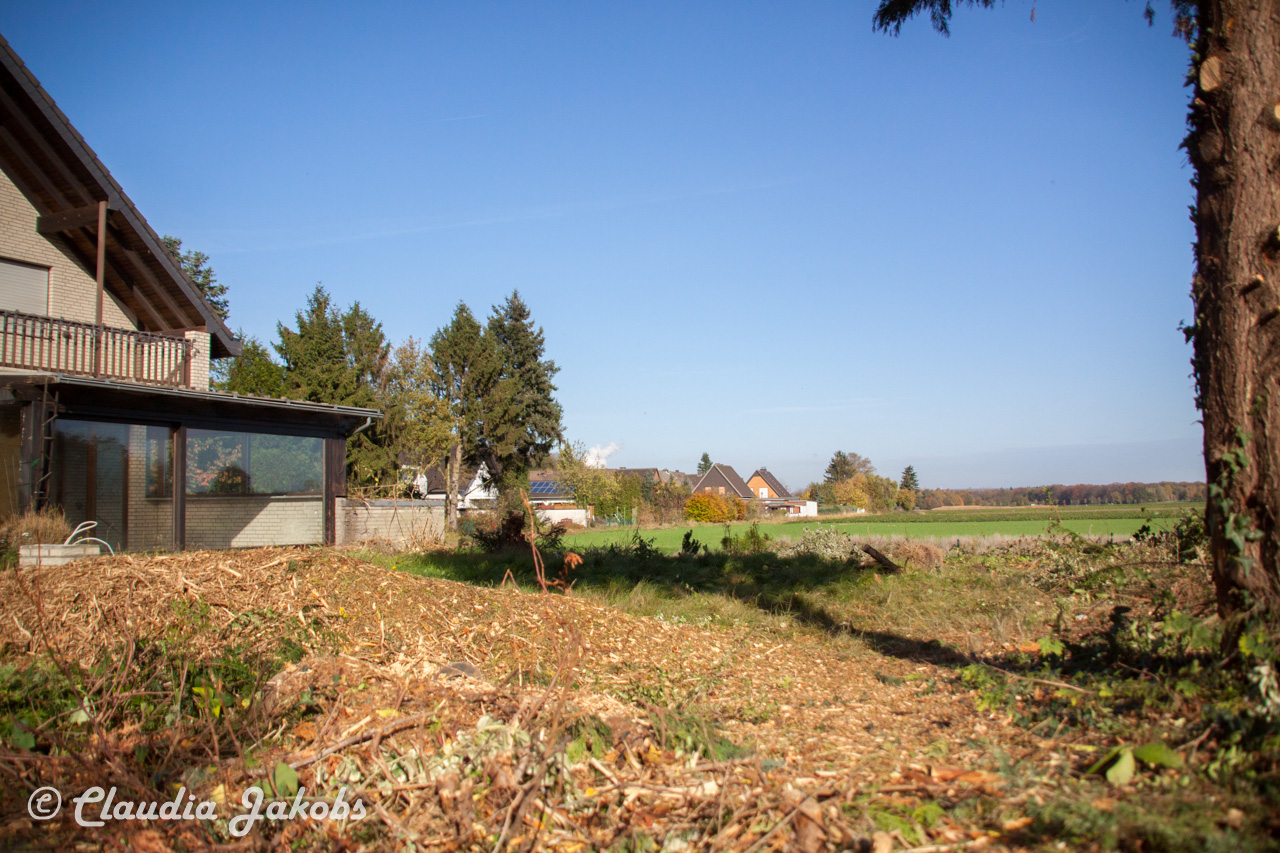 20171101130751 IMG 9481