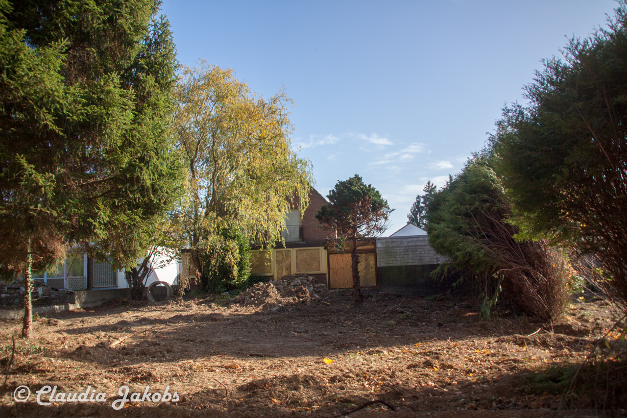 20171101131049 IMG 9486