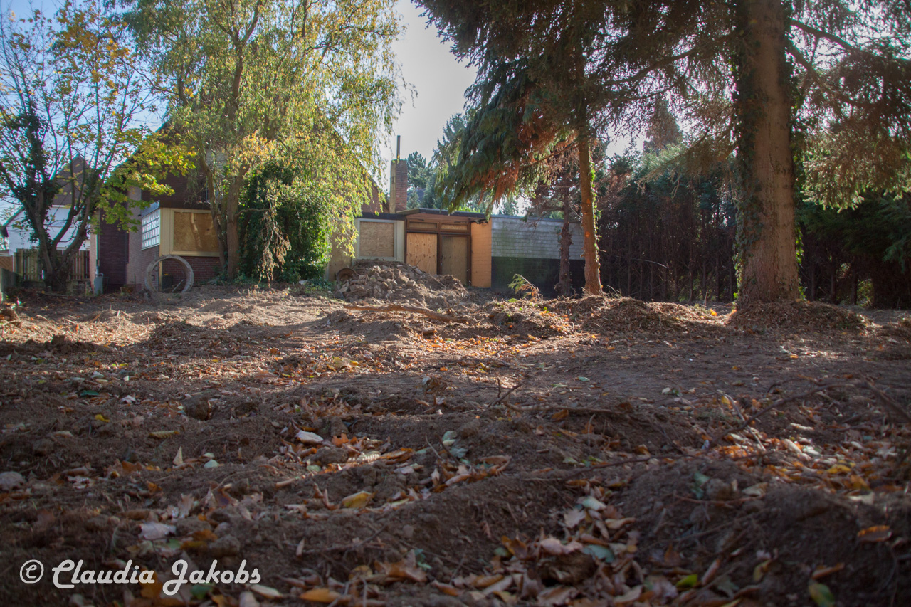 20171101131116 IMG 9487