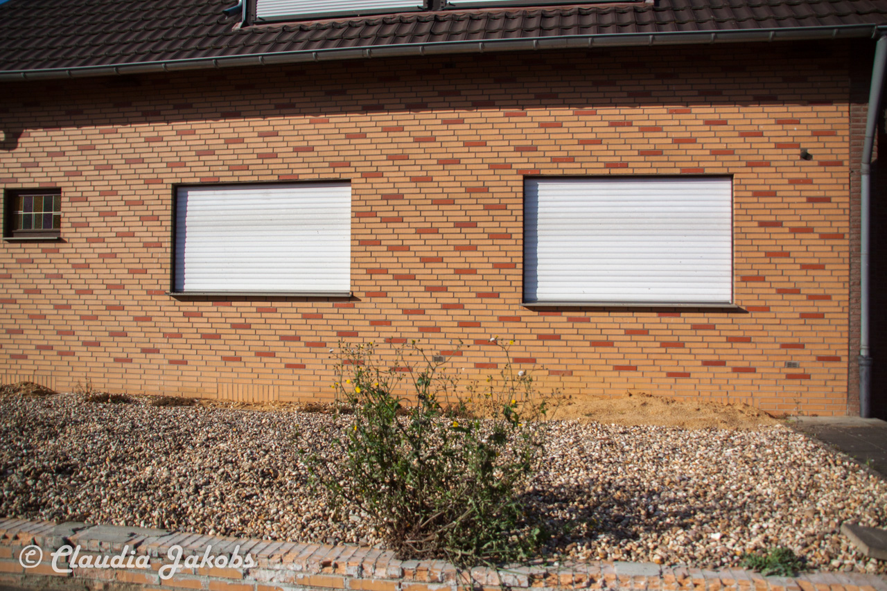 20171101132025 IMG 9505