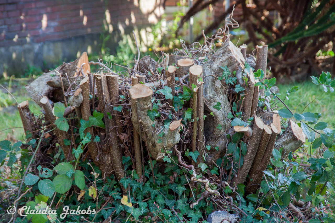 20171101132259 IMG 9511