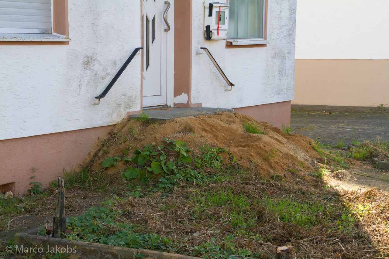 20171101132428 MJ  5818