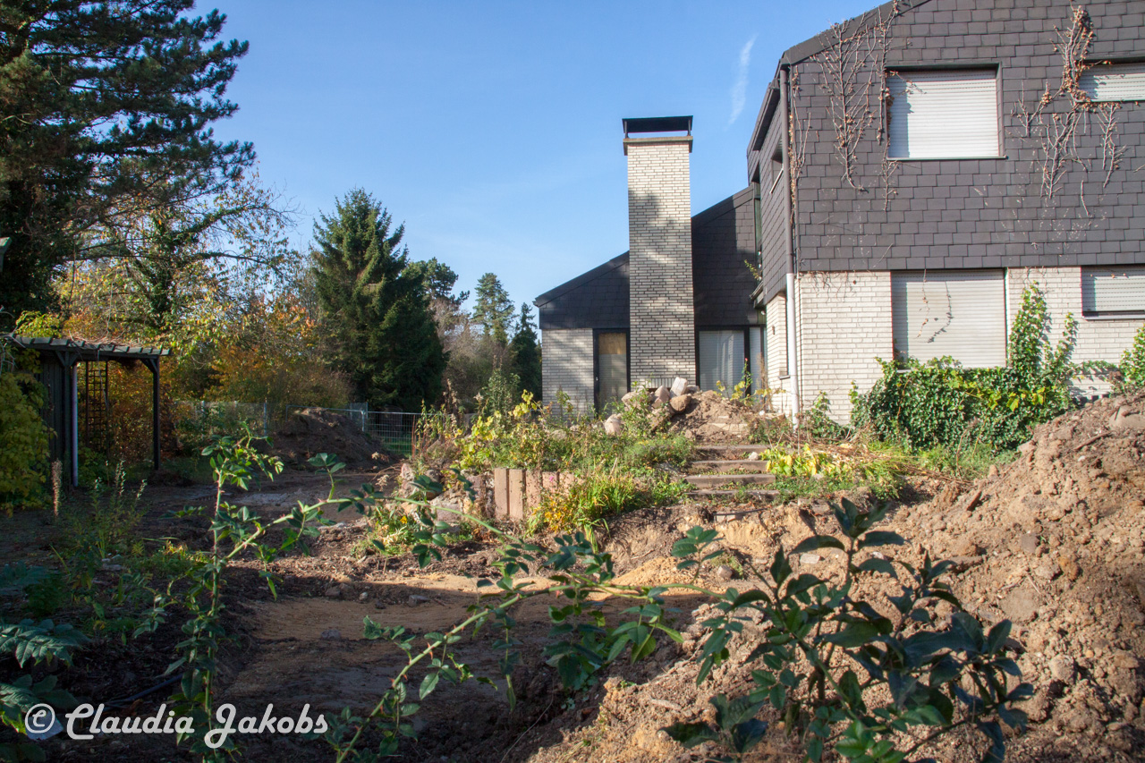 20171101133356 IMG 9527