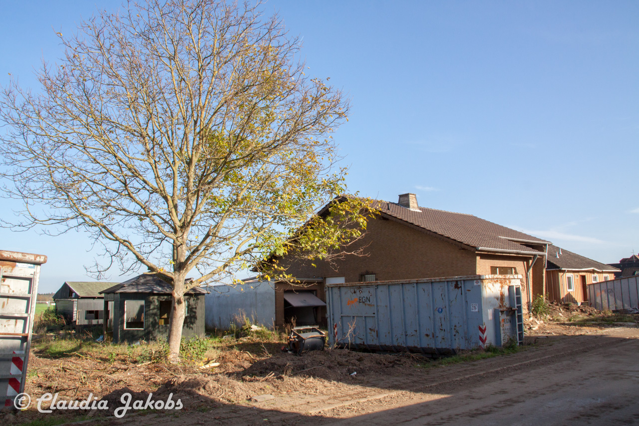 20171101133601 IMG 9533