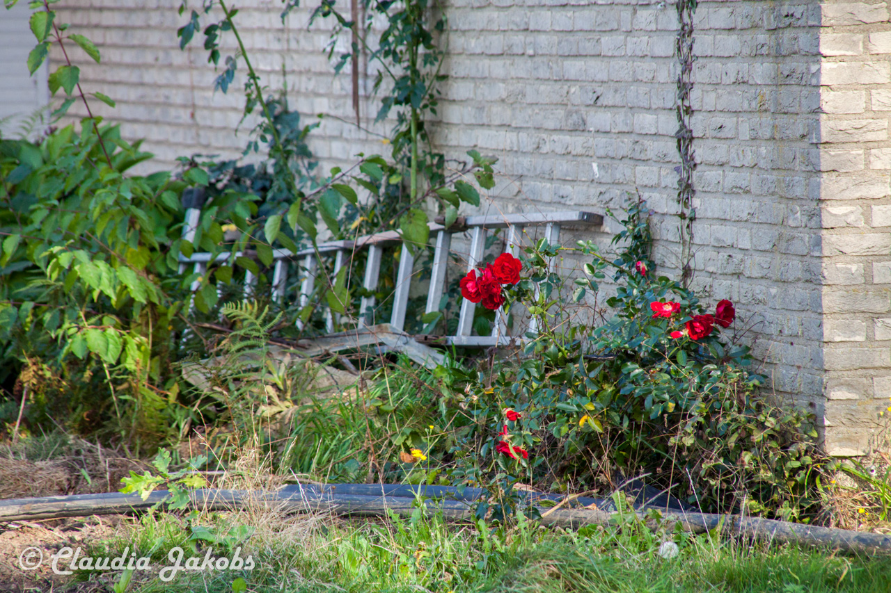 20171101135957 IMG 9568