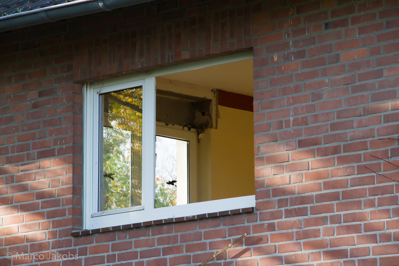 20171101140054 MJ  5873