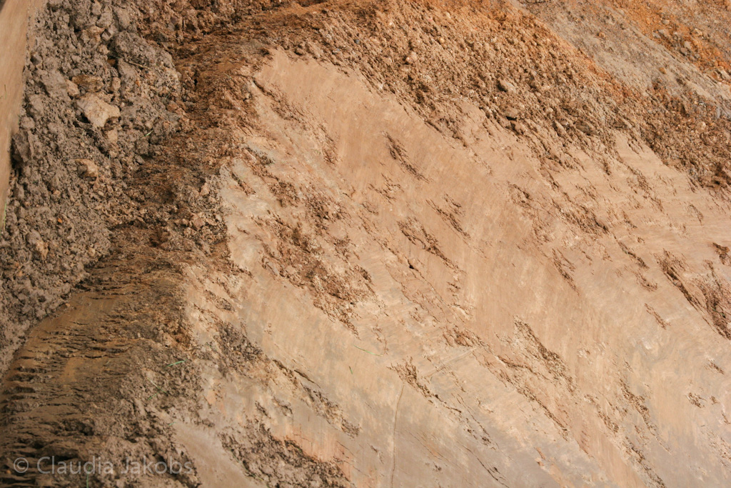 130215111808 IMG 4615