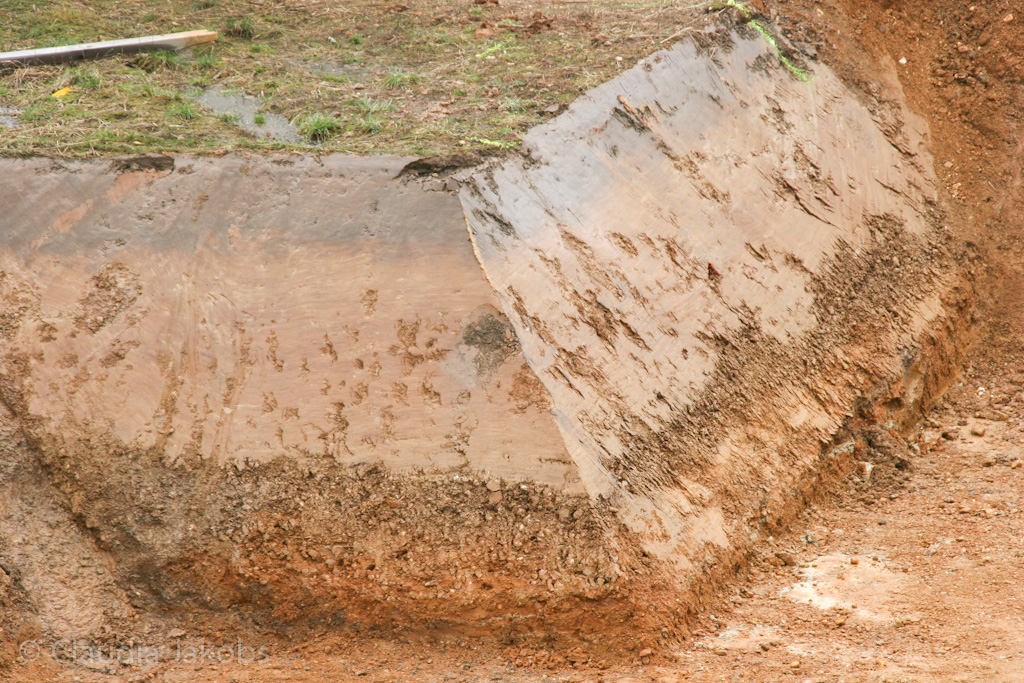 130216125738 IMG 4670