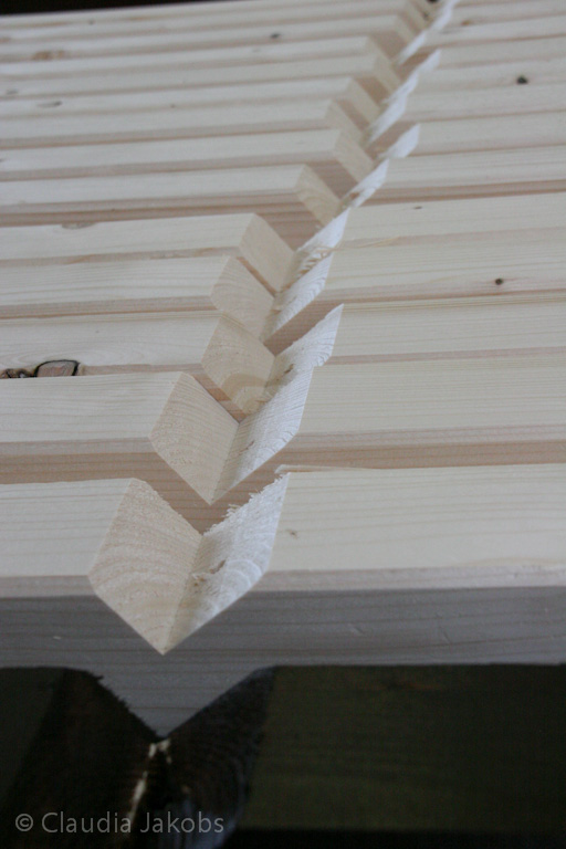 120128113854 IMG 1253