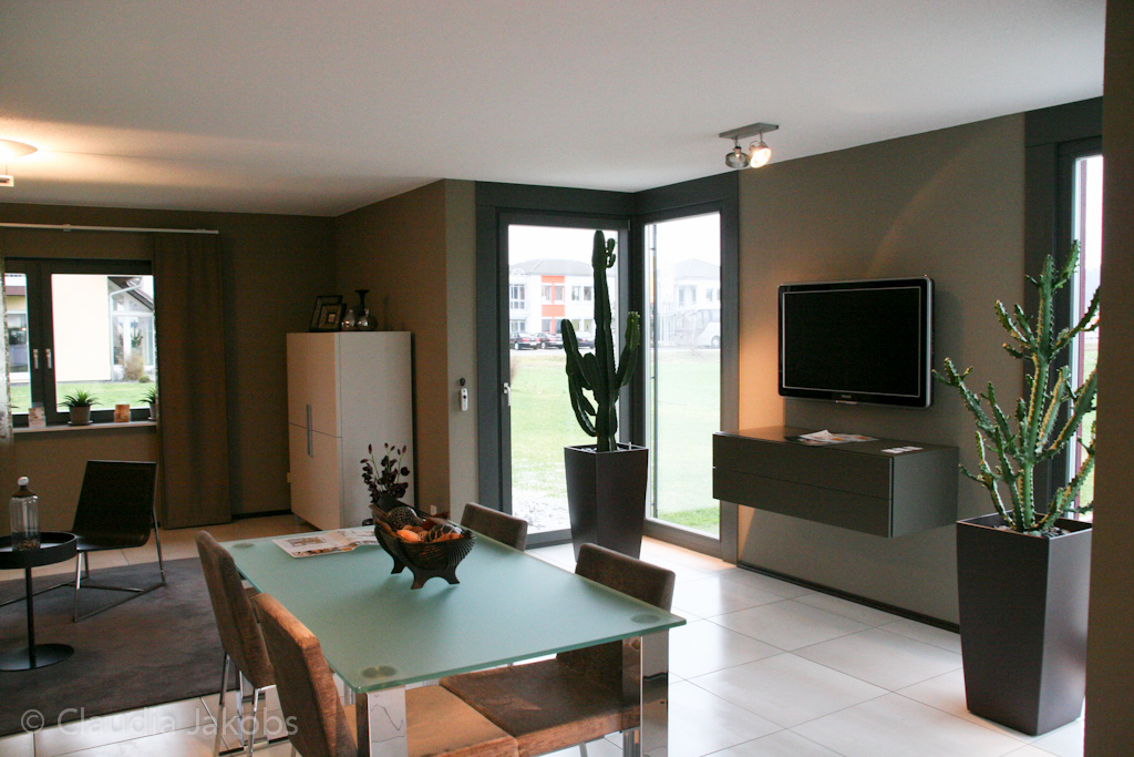 120128151729 IMG 1396