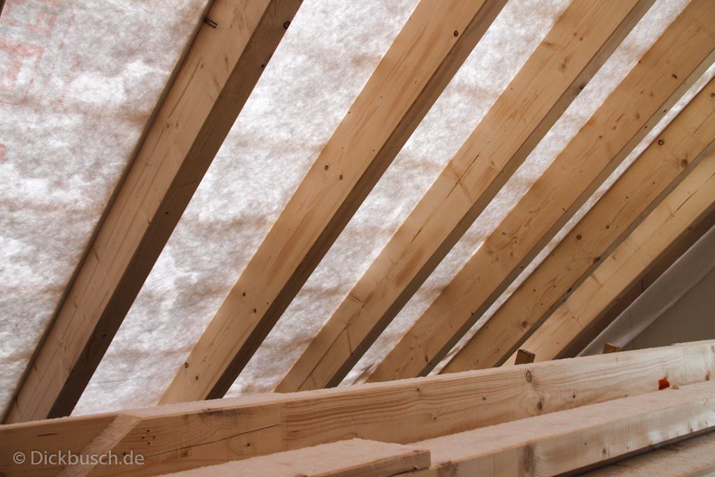 130311161004 IMG 0905