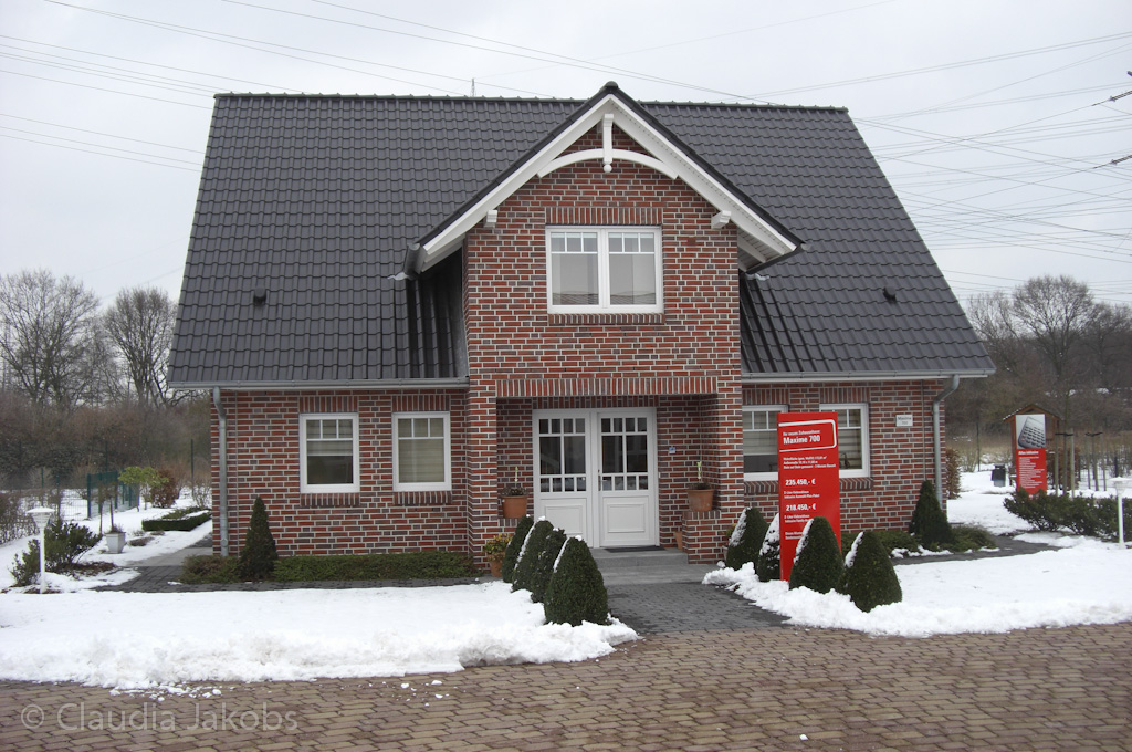 100131163038 CIMG1565