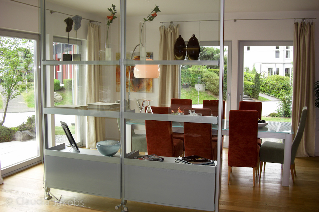 110522123154 CIMG1977