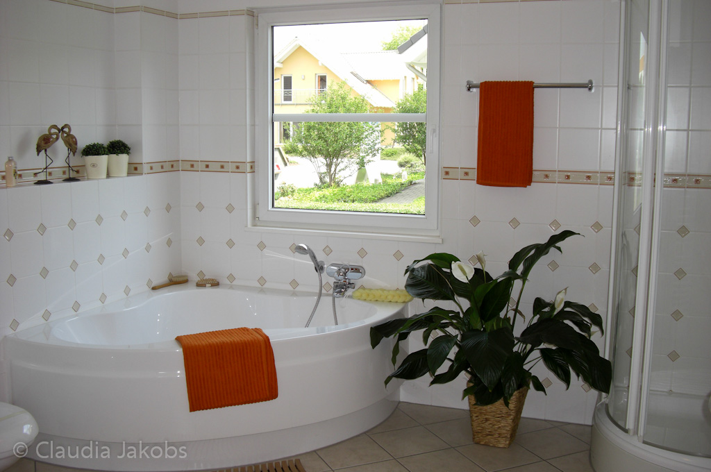 110522134039 CIMG2043