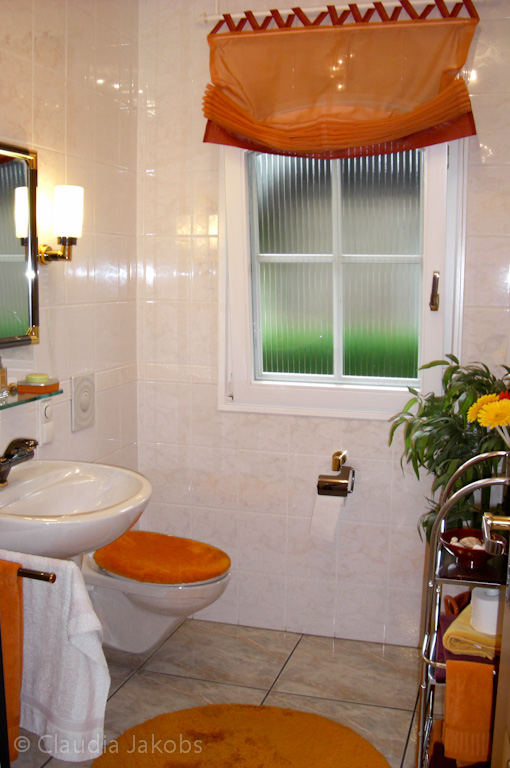 110522135918 CIMG2087