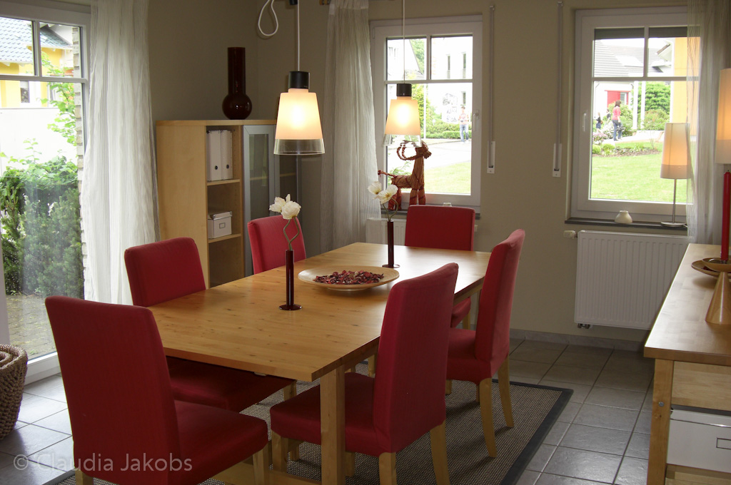 110522150717 CIMG2137